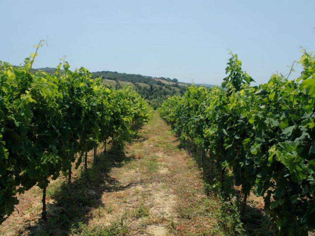 Tenuta Ponziani Wine Resort&Spa Morrano Exteriör bild